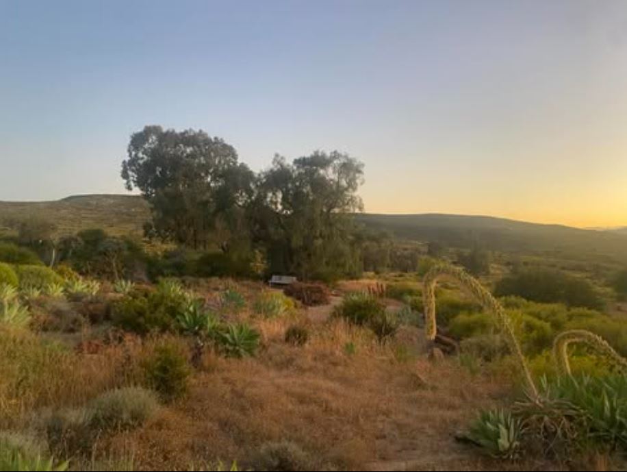 Naries Lodge, Namaqualand
